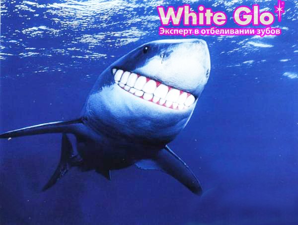 ���� �� 17.10. White glo � Longa Vita! ������ ����� � ����� ��� ��� � ����� �����-119