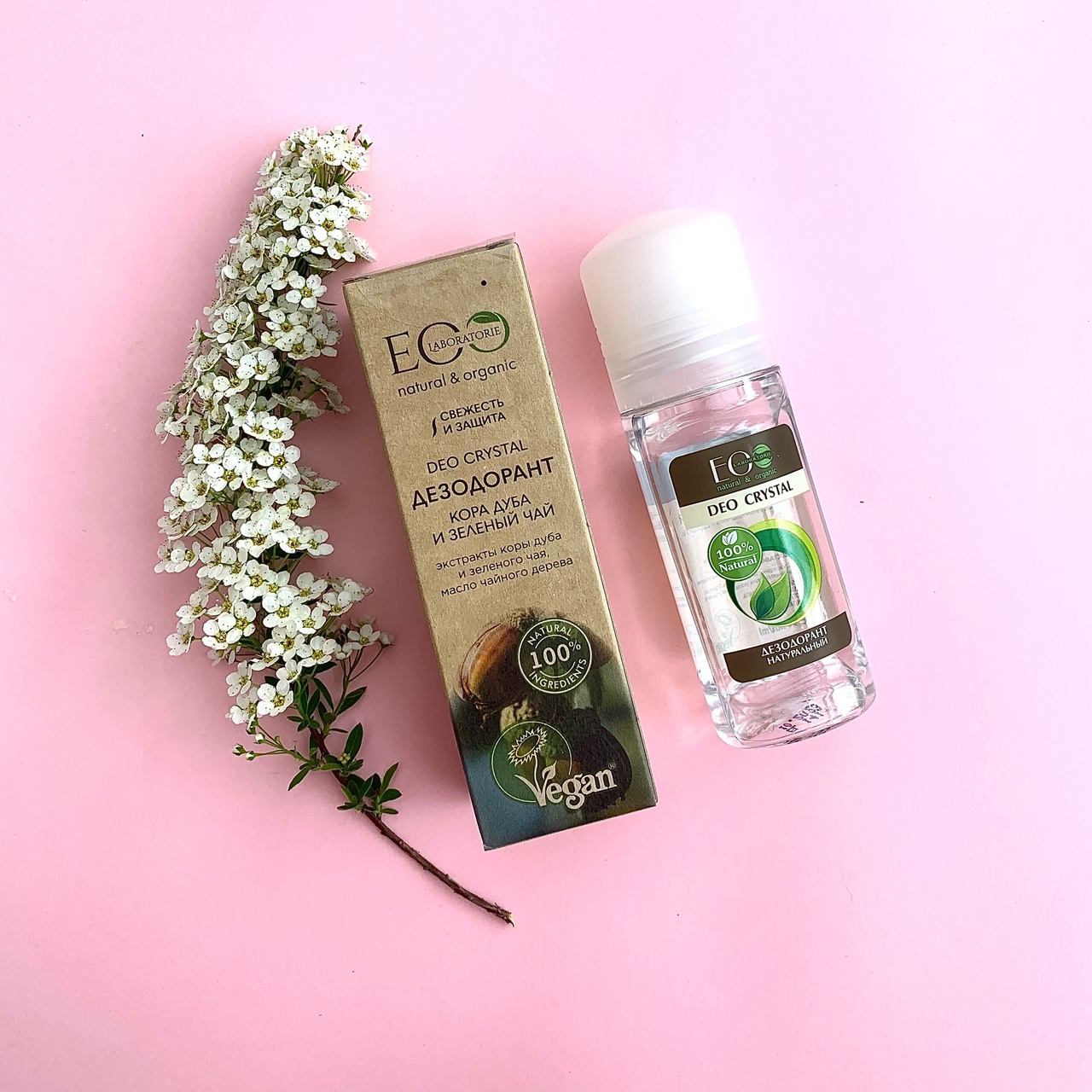 ���� 16.10.��������� Ecolatier,Ecolab,Cafe mimi-���� �����������!