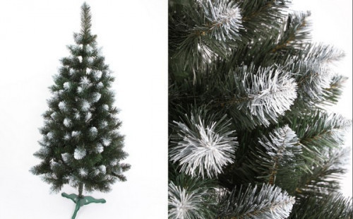 ���� �������� ��� ���������� 8: ������ ����, ������, ��������, ������, ��������, ����, ������. �������, ������� ���������, �����. ��� ���������, ��������, �������, ��������.