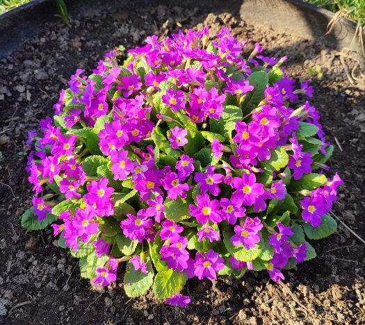 ������� ������� ���������� �����.