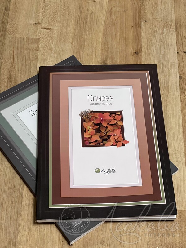 ���� �� 25.10 �������� �������� – ���������, ������, �������������, ������� �� ��������� �������. ���������� � ������ ������� ��� ���� � �������! ��� ����������� ������!