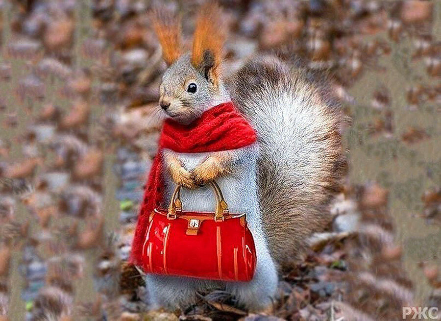 ���� �� 20/10. ���� �������! ������ ������! ������� ���������� �� ���������� ����� �� ����� ���� ��� ���� �����!