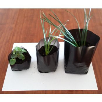 [b]���� �� 06.11 ������ ��� ������� – ���������� ��������� ��� �������� �������. � 5[/b]