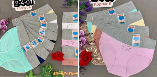 � ������� ������� ������� �� 48 ���.