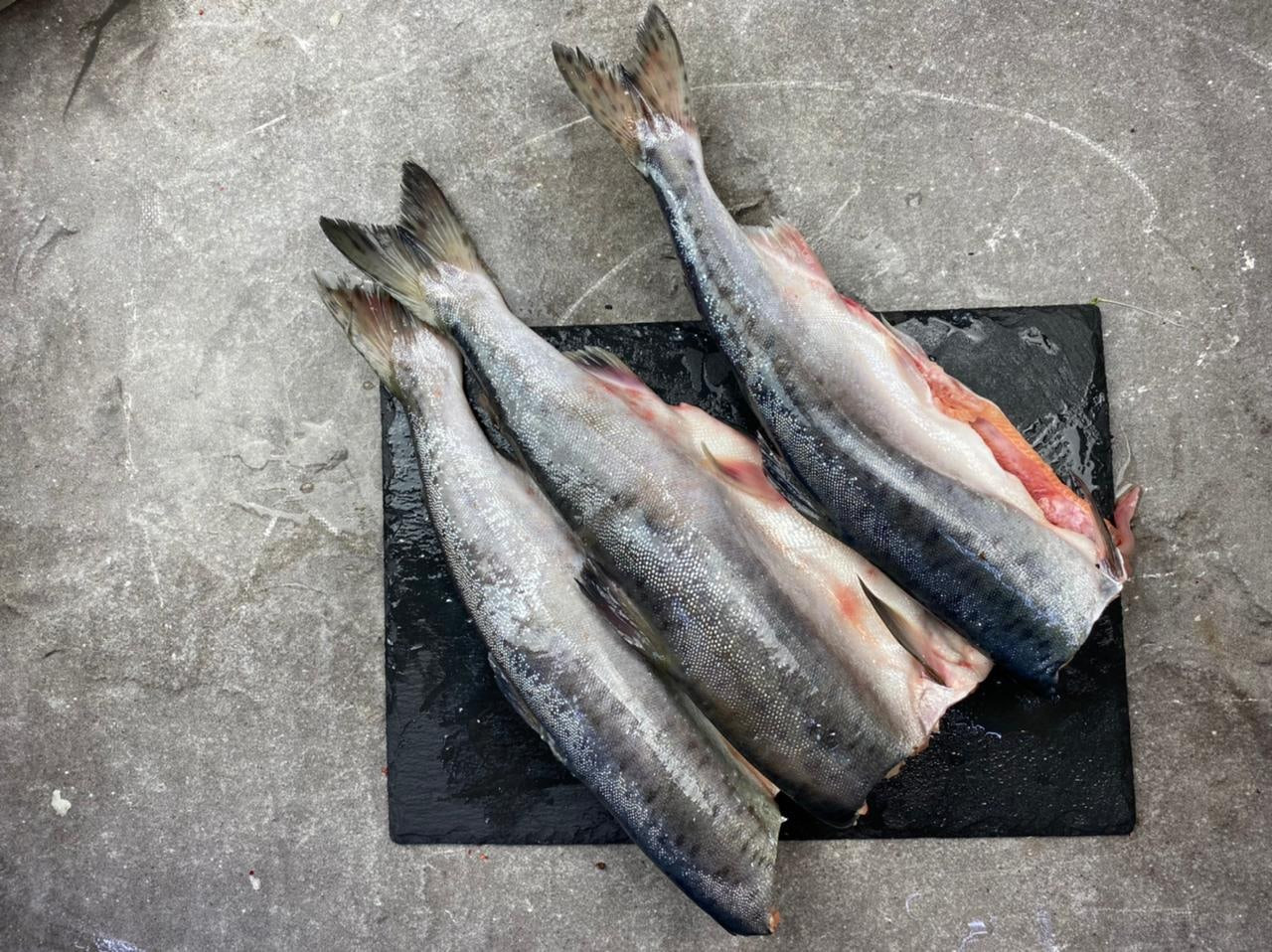 � �������!�� 25.10 ���������(�����,��������,�������������)��������� ��� ���� 10%!������� ����������!������� 1.11