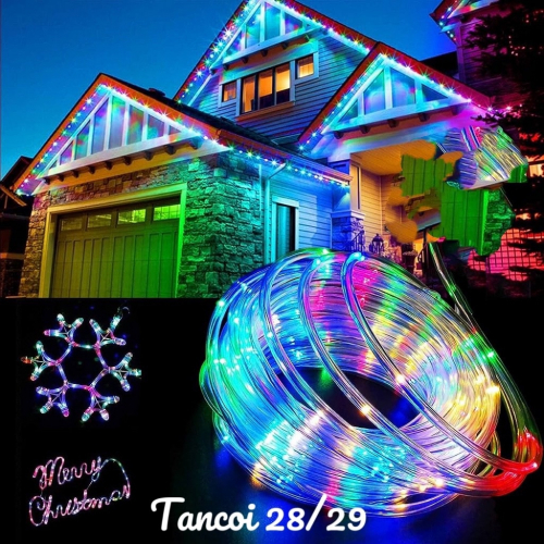 ���� �� 31.10.������ ���������� ���������.�������� ��� ����,��� ����� .������� ��������� ,�������, ���������� �������.