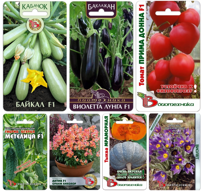 ����������-42. ������ ��� ����� ������