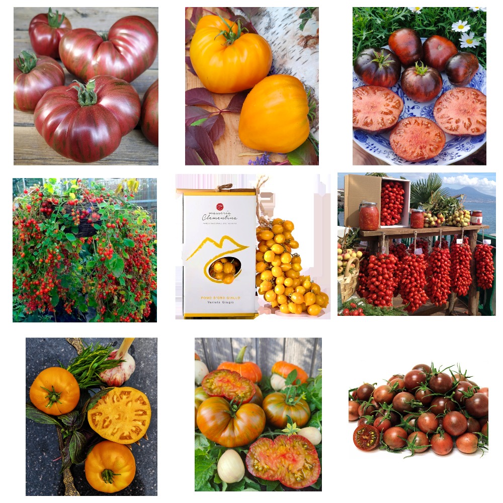 ���� ������� �� 12.11. ������������ ������������� ������ ������ ��������� �����, ����������� ��������� � ������� �������� ��������������� ������. �������� ���������� �������. ���� 1/2023