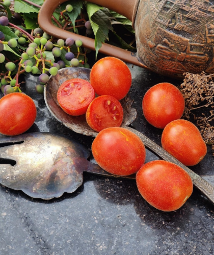 [b]������������� �������� ������. ������������ � ������ �����  .[/b]