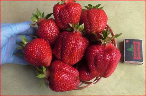 �� ���� ������ ��� �������� ������ �����, ���� �� ���� �������� ����� �� ������. ����� ����������� � ������ �����! 