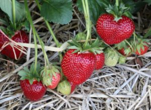 ������� ������! ���������� ������������ ����. ������� �������� � �������� ������� ������ ����������!