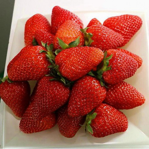 ��� ���� ������� ���������! ������!