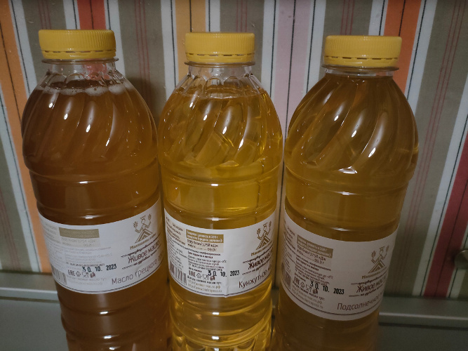 �������� ������ ����� �����, ���� ������������ 30.10.23. �������� � ��� � ����������� 6.11