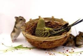 ��������, ������, ��������� - ��� �����������! 13