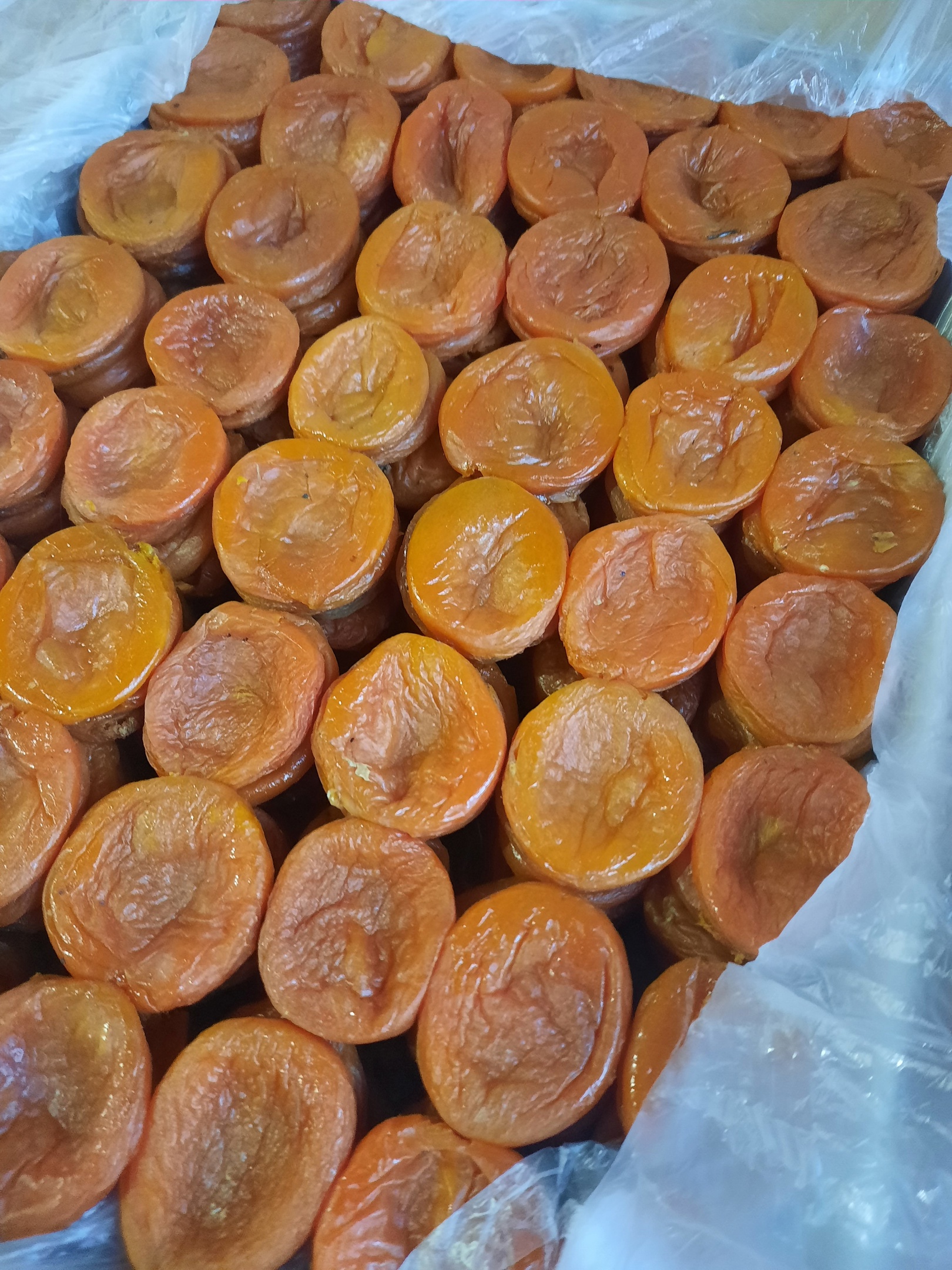 �������� ��� �� ������ - 2 ���� ��������� ��������! �� 230 ���+��� ���� �� ��. ������ �������� ����