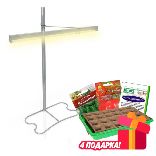 ������� �����������! ������� ���������, ����� ��� ��������, �������� �������� ��������, �ӣ ��� ����. 10/23