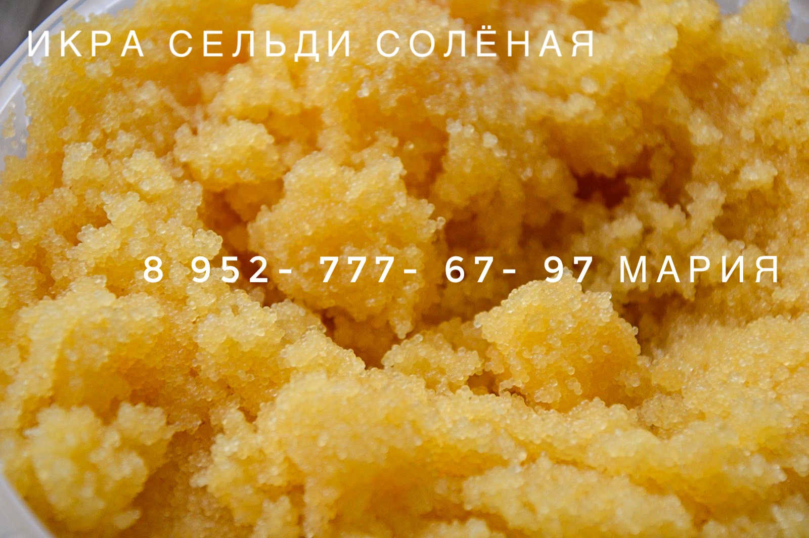 � ���� ��������� ���� ������! ����� ����� ���� �� ��� ��������, ������ ����� ������ !)