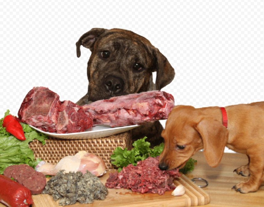 ���� ������� �� 20.11. ����������� ��� ��� ����� ��������.