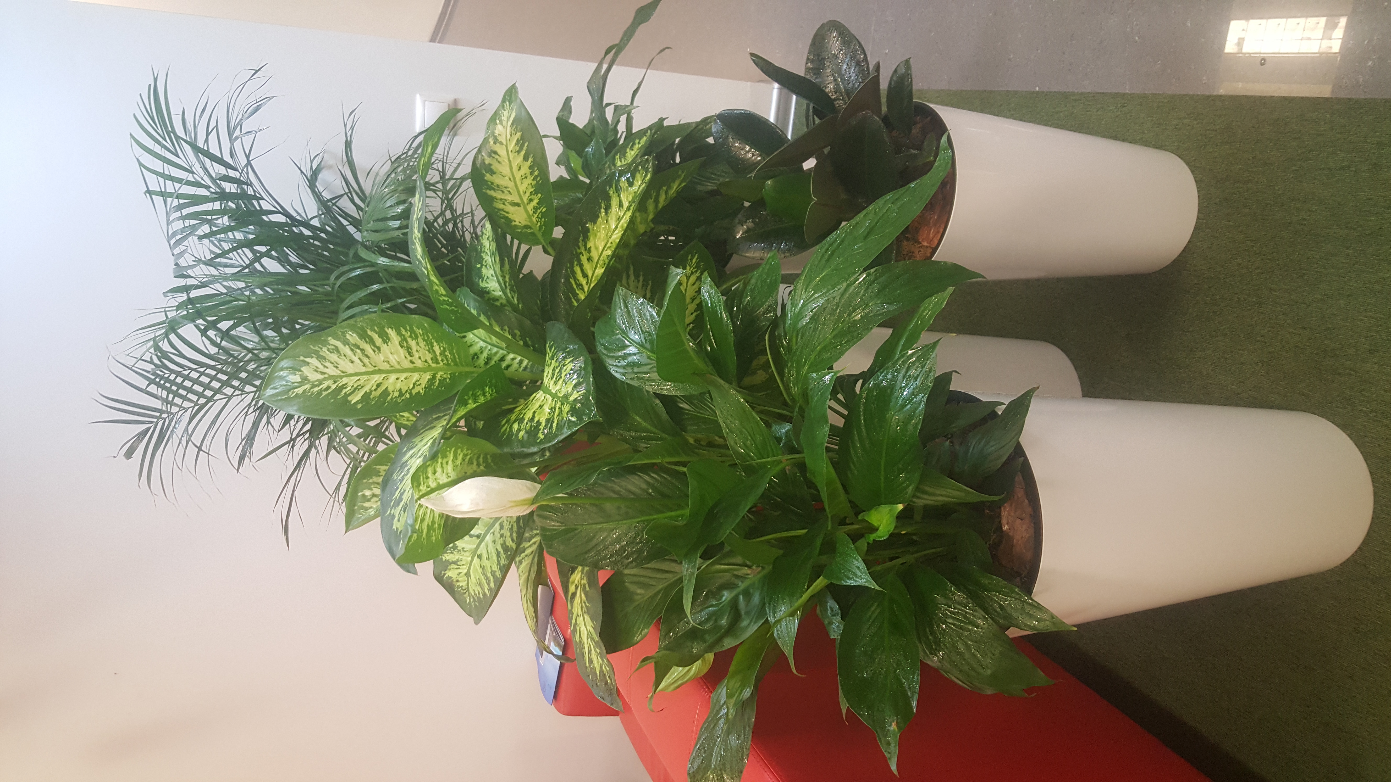 ��������� ��������! ����� ���� ����