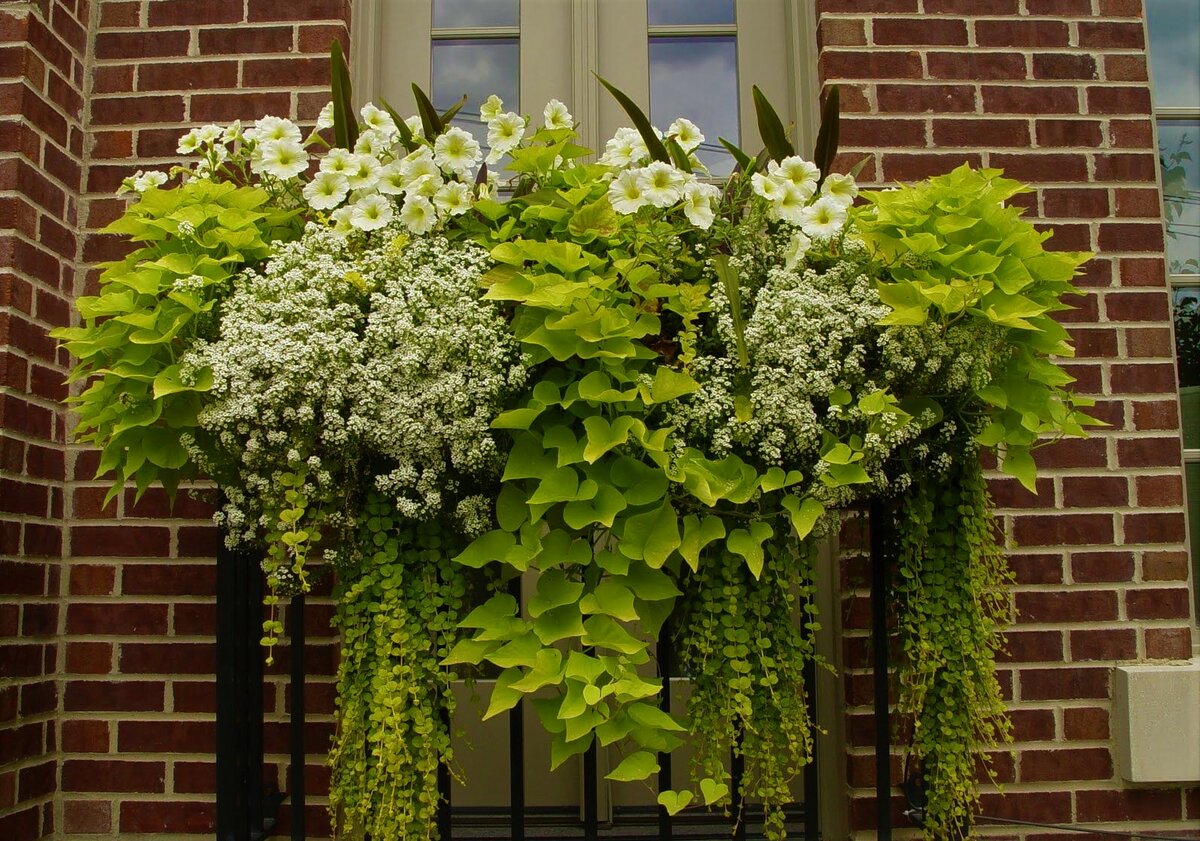 ��������� � ����� ����� �������. �������� � ������������ ������������ - �������, ����������, ������� � ������. ��������� �� ������ 2024