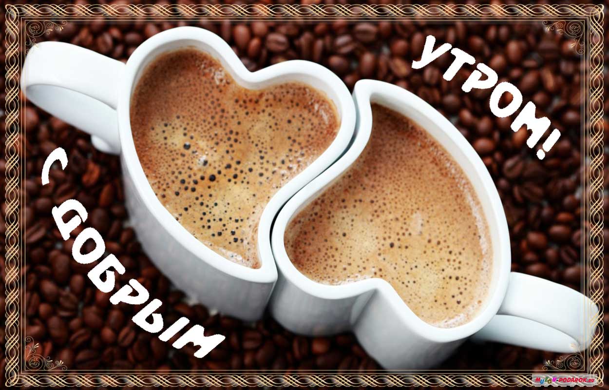 ������� ������� �����! �������� �������� ����, ��� �� ����� ����! ���� �� ���� ������!!!