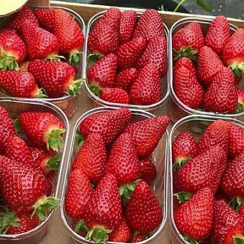 ������ �� ��!  ������������ ����� ��������! ������ ����� �������! ������� �  ���� ��������!