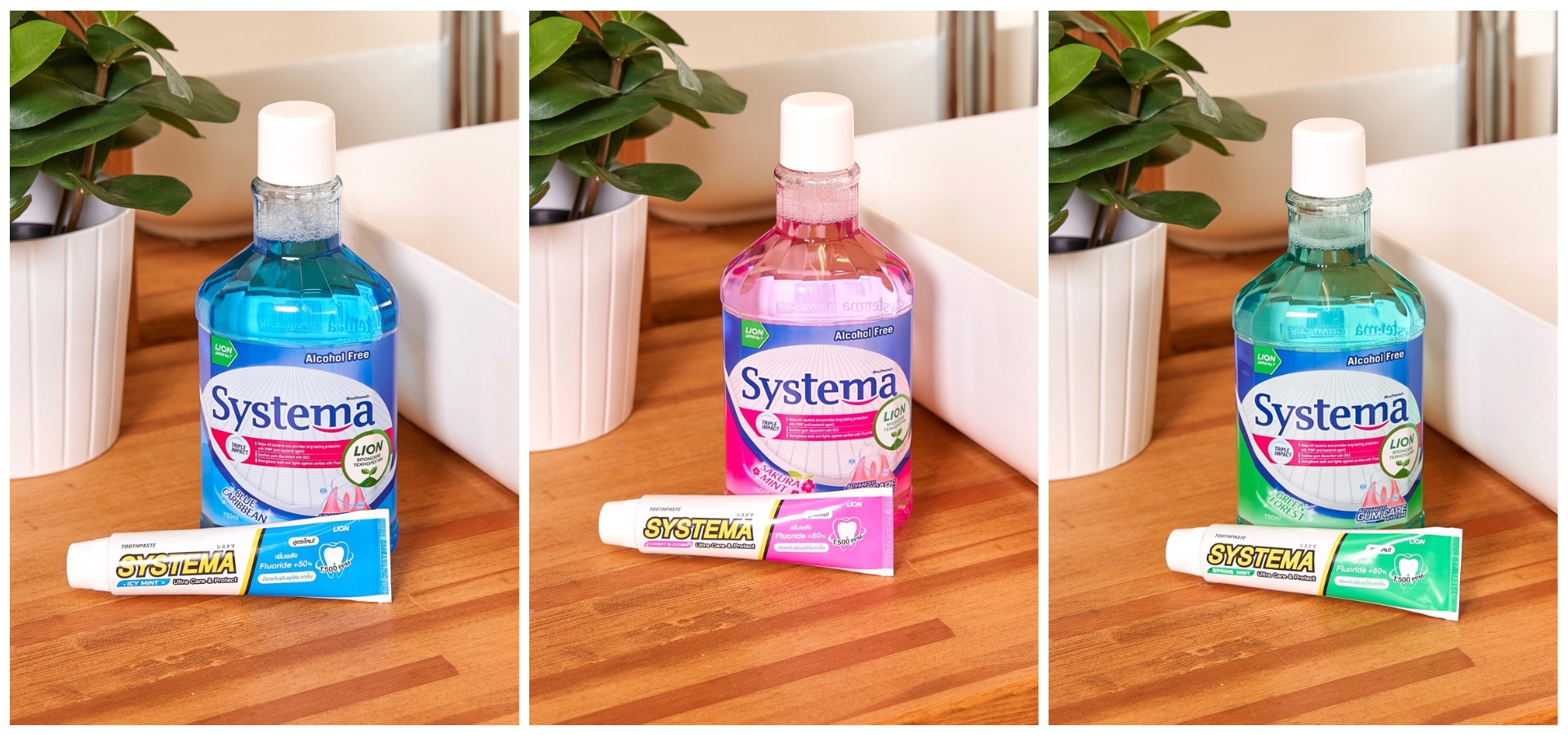 �������� ������ ����� ��� ������ � ���������� � �������� ��������!!!!