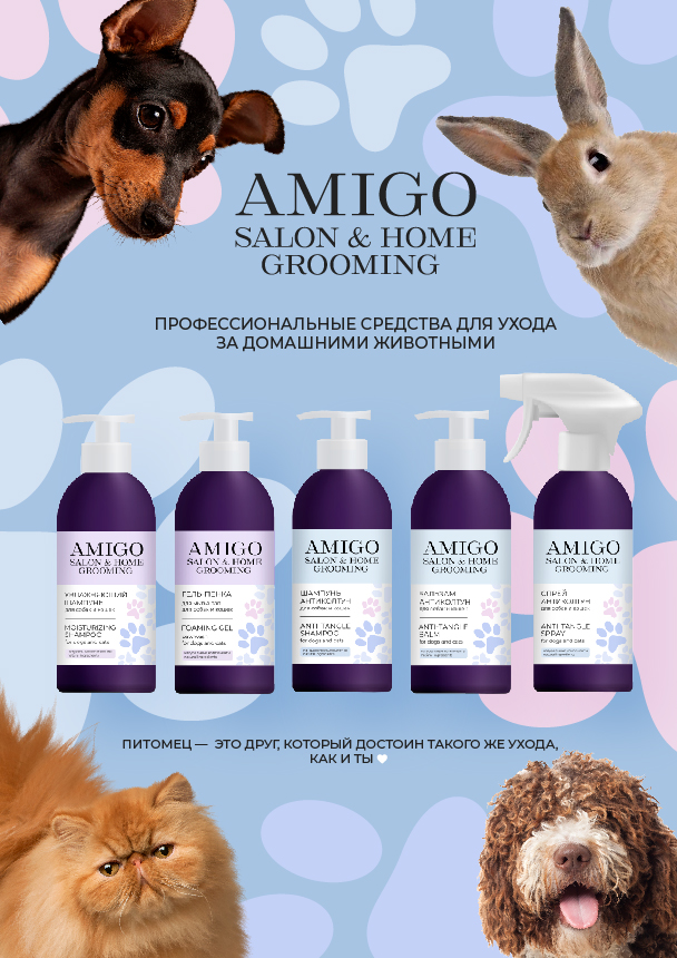 AMIGO ���� �� ��������� ��������� �� OLLIN