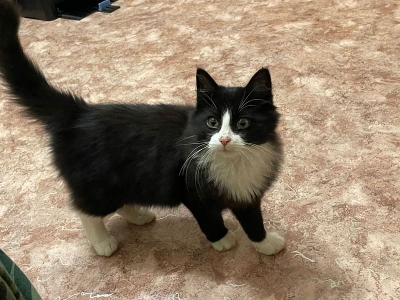 �� ����� ���������� ��������� ���������� �����