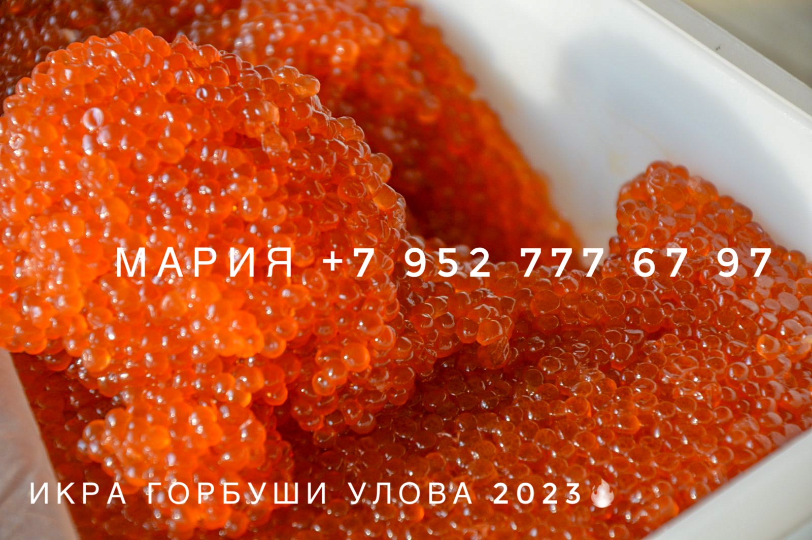 ���������� ������� ���� �������, ����, ������. ���� ������ � ������. ���� 29.11