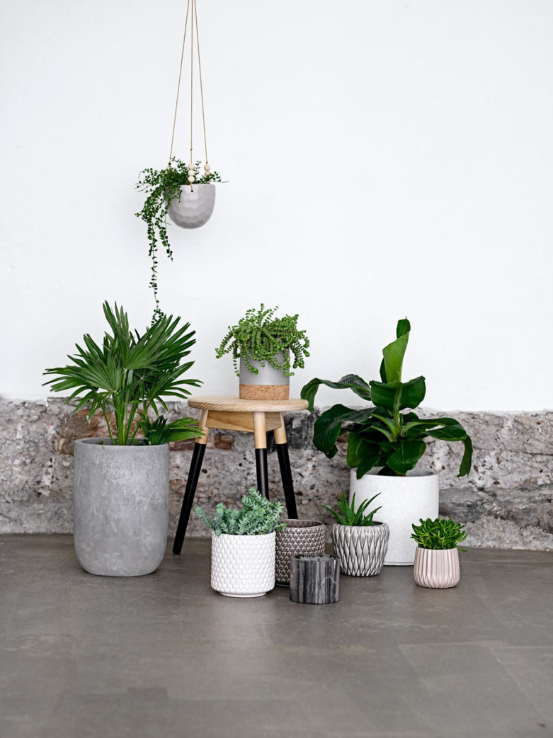 ������ ��� ��������� � ����. �����-16.