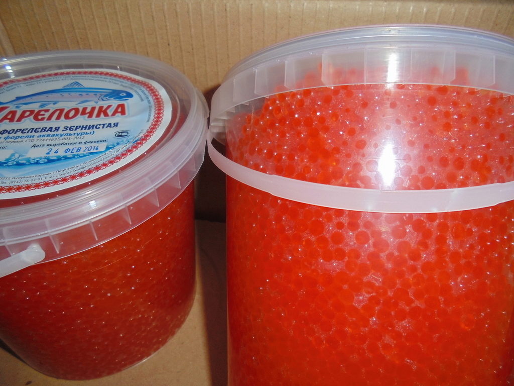 ���� �� 04.12. ���� ��������� ��������� ���������. 8��.