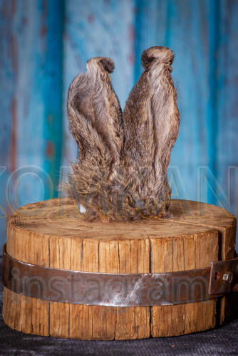 ������� �������� �� ������� ���������� ��� �����! ������� ����� ������! ���������� ����������!