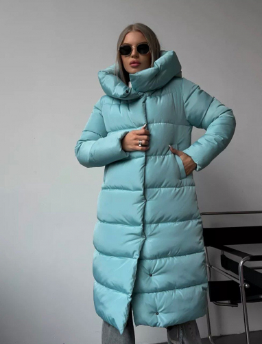 ���� �� 01.12.�����-���� 2023/24 ;������� ������, ������ �������, ����� � ���������