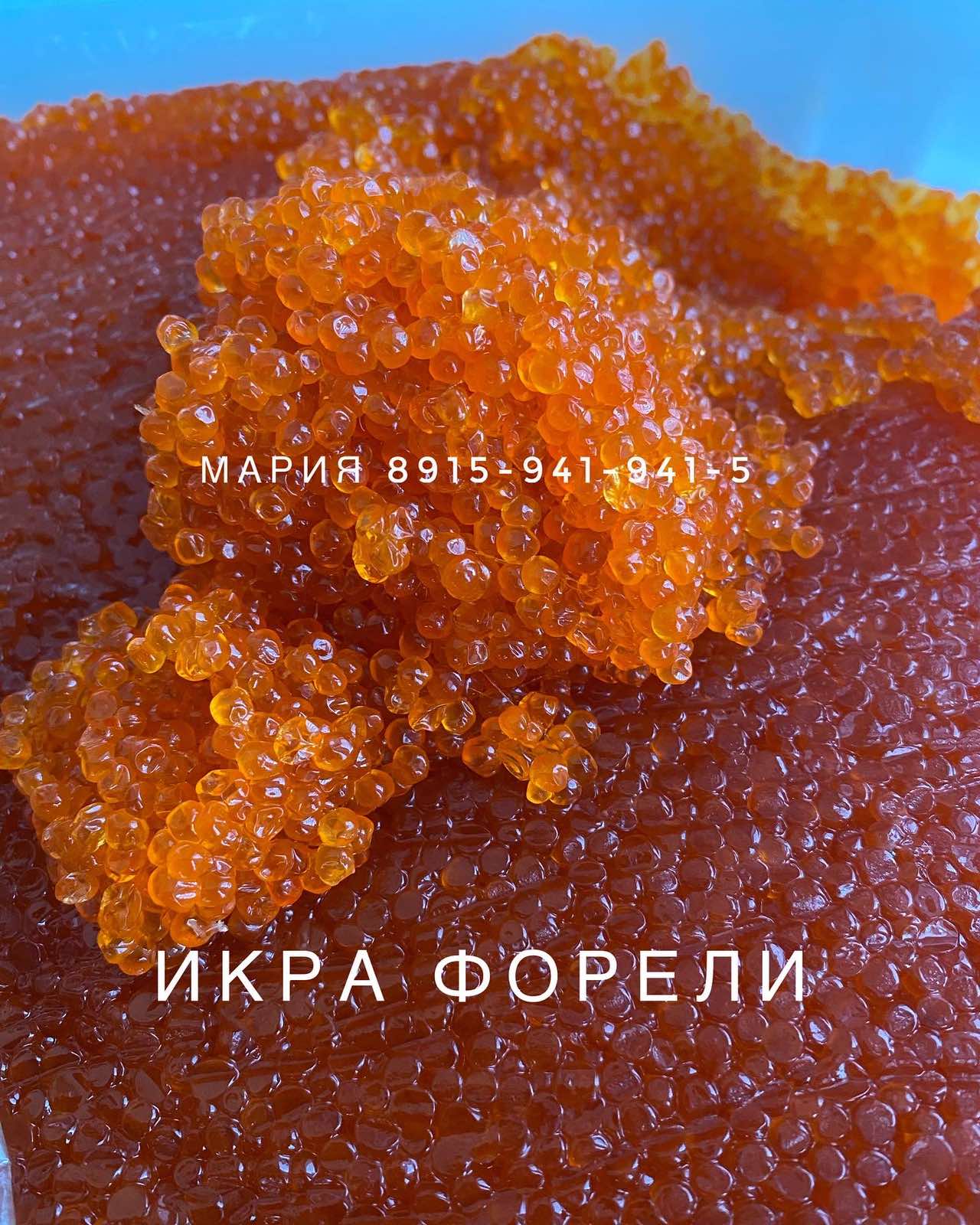 � ���� ��������� ��������� ���� ������!!! ����� �������, �����, ������.