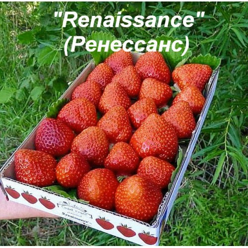 ���� �� 20/12. ���� � ������� ���������� �������� ��������/���������. ������� ������� '23-24. ���� 2