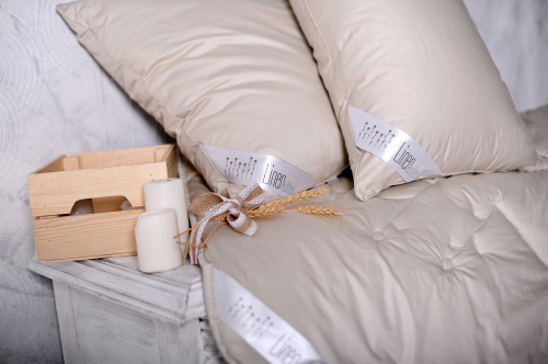 ��������! ������� ������� �������- 51. �������, ������, �����, ���������