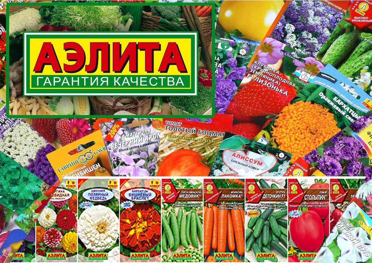 ���� ������� �� 19/12. ������. ���������� ������� � ������� ����! ���� ����������� ���������� �����. ������� � �������