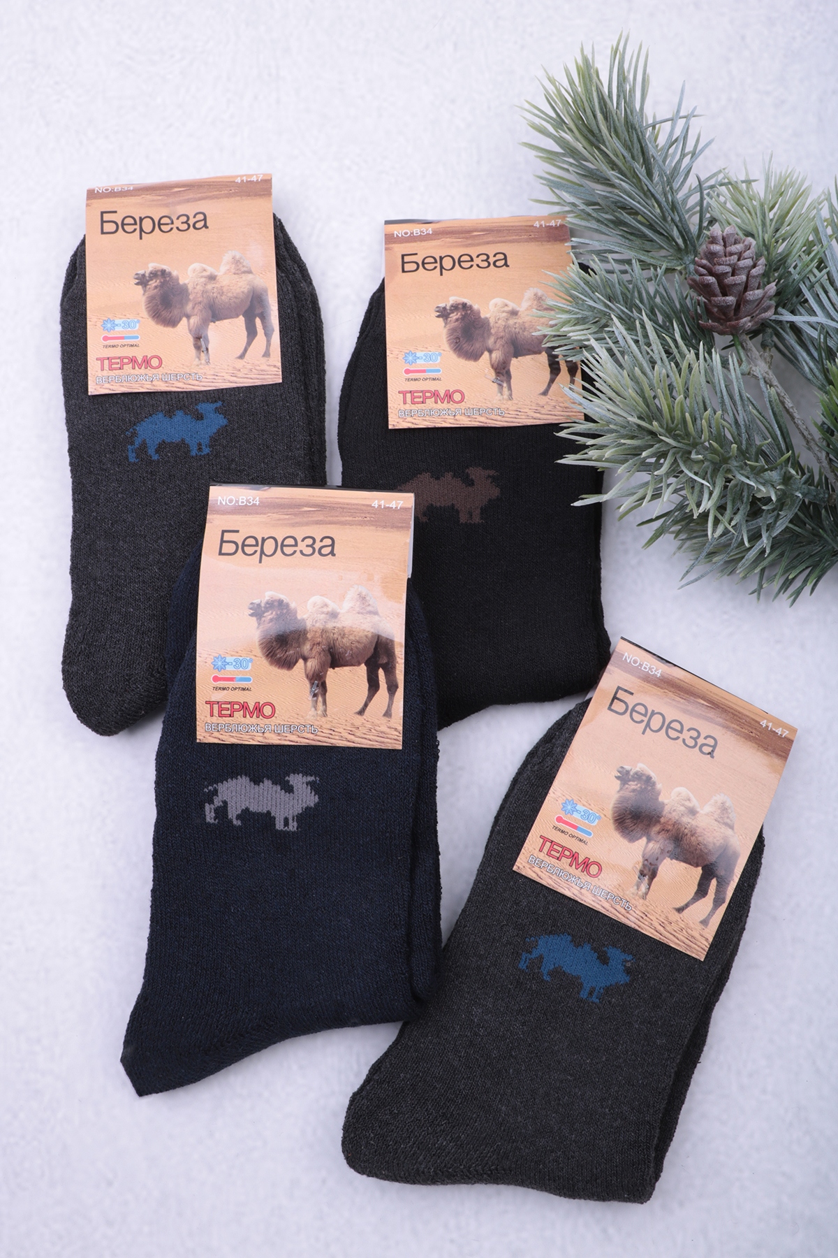 �������� ������ ����� �������� �������� ������ ��� � ������� ������� 17-22  �������