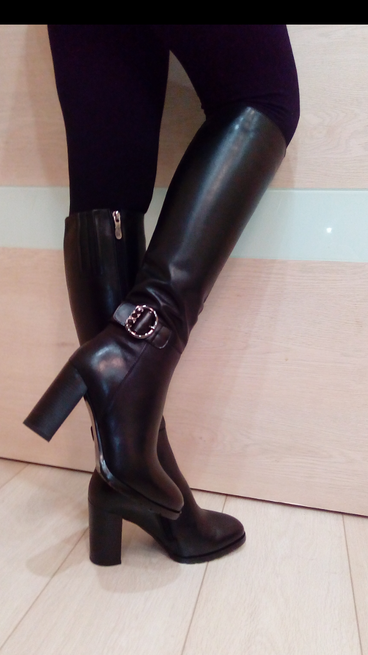 �������� �������� ������� ������ 36 ������ �������� �������� - �������� ������ � ����� ��. 