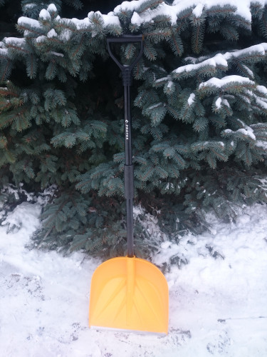 ������ � ������ ! ������� � ������ �� Protex!����������� � ���� ! � 24-1