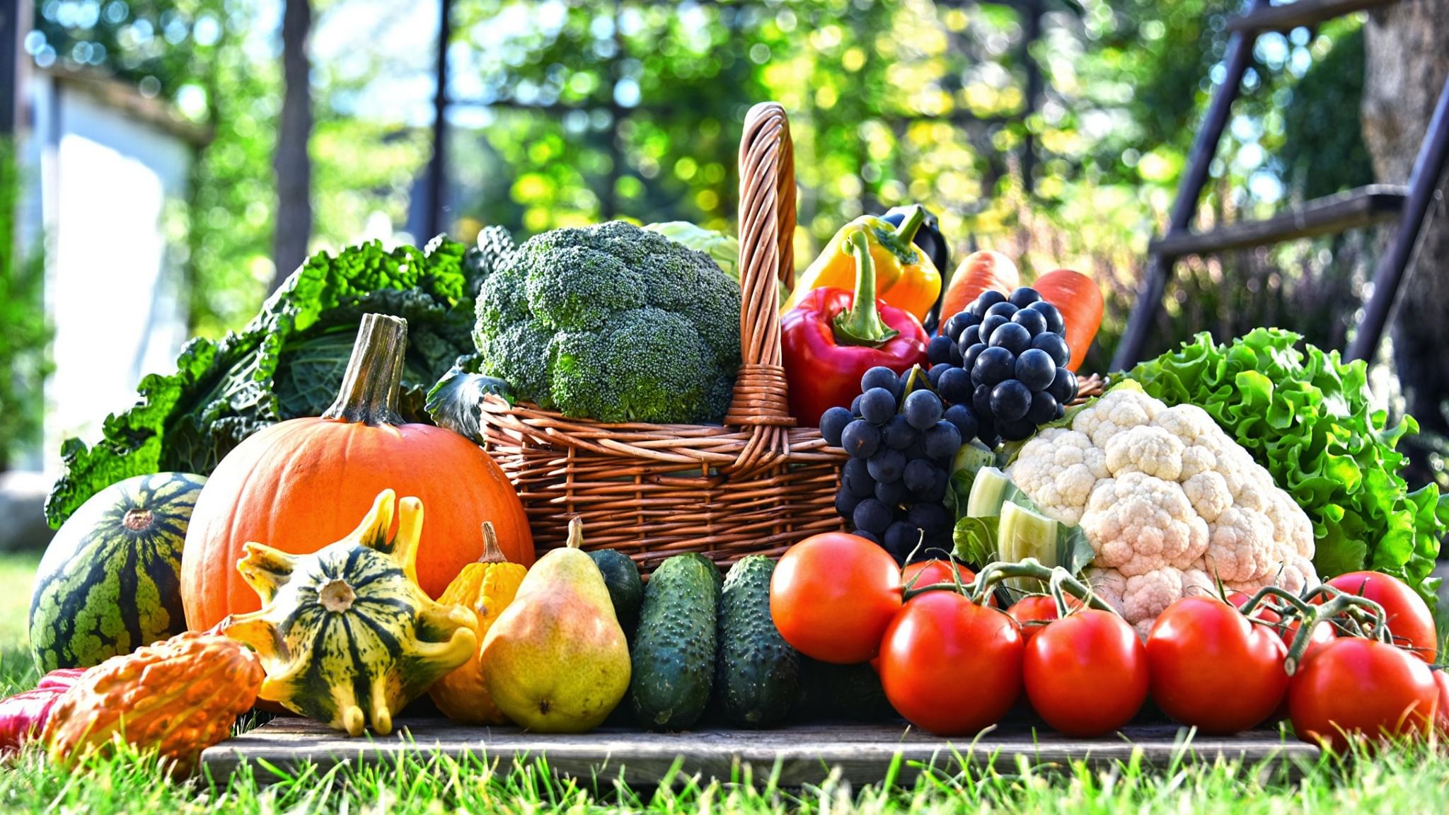 �� 10. 01 ������ ������ � ������ �� ���������!������� ������ ��� ���������