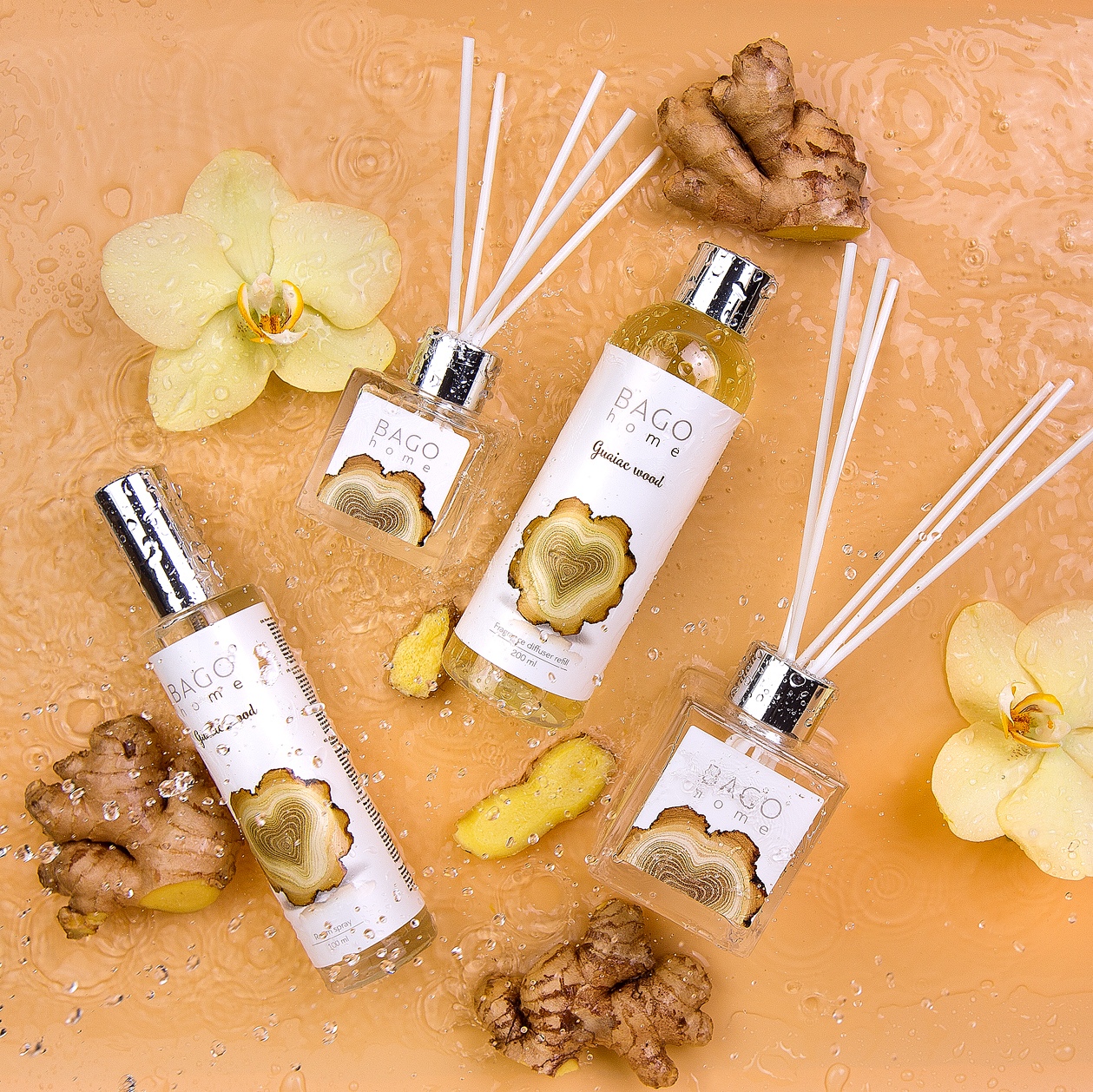  ���� ��������� ������ ����� � ����� ������������ � �������, ������ ������ � ������ � ������ ��������� ��������� ���������.