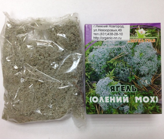 ������� �������!