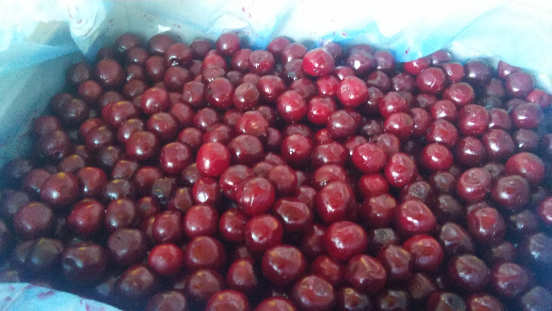 ���� �� 09.01. �����, ������, ����� �������� ���������-23. � ��� ������� �����, �����, ������ ! ������� ����� 14 ��.