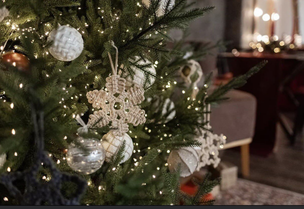 Max Christmas. ������������� ��� ������� ������. ������ ����! ������� ������ � 2 �����. 1/24