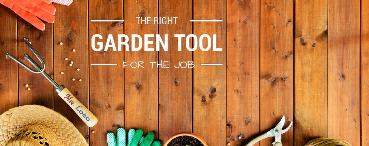 ������� ��������� Mr.Logo - ��� ����������� ��������� ������������ ��������, ������������� � ���������� ���������