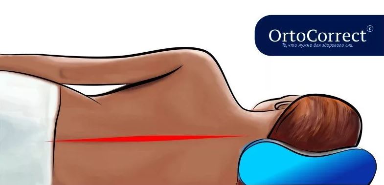 ������������� ������� OrtoCorrect — ����������� ���������� ���. ������ � �������� � ���������.