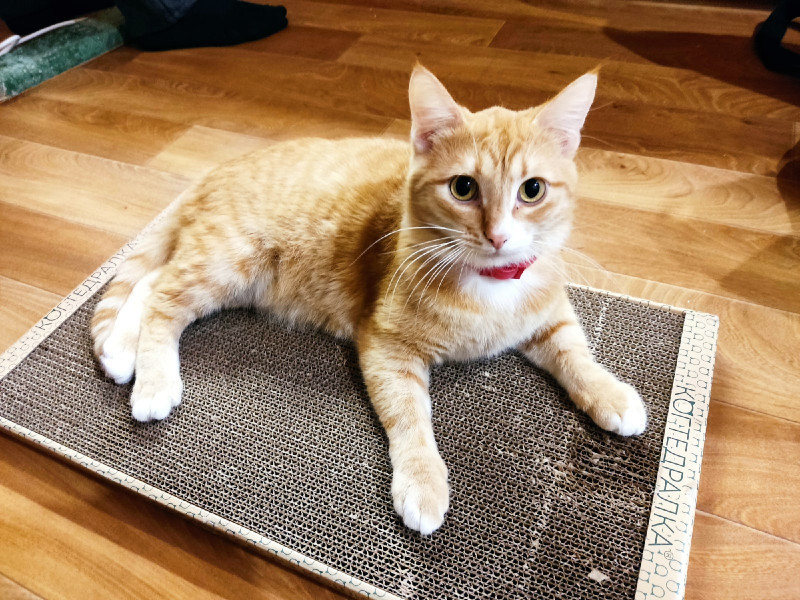 ���������� ������� , �����������. �������� ������������� ���������.24-2