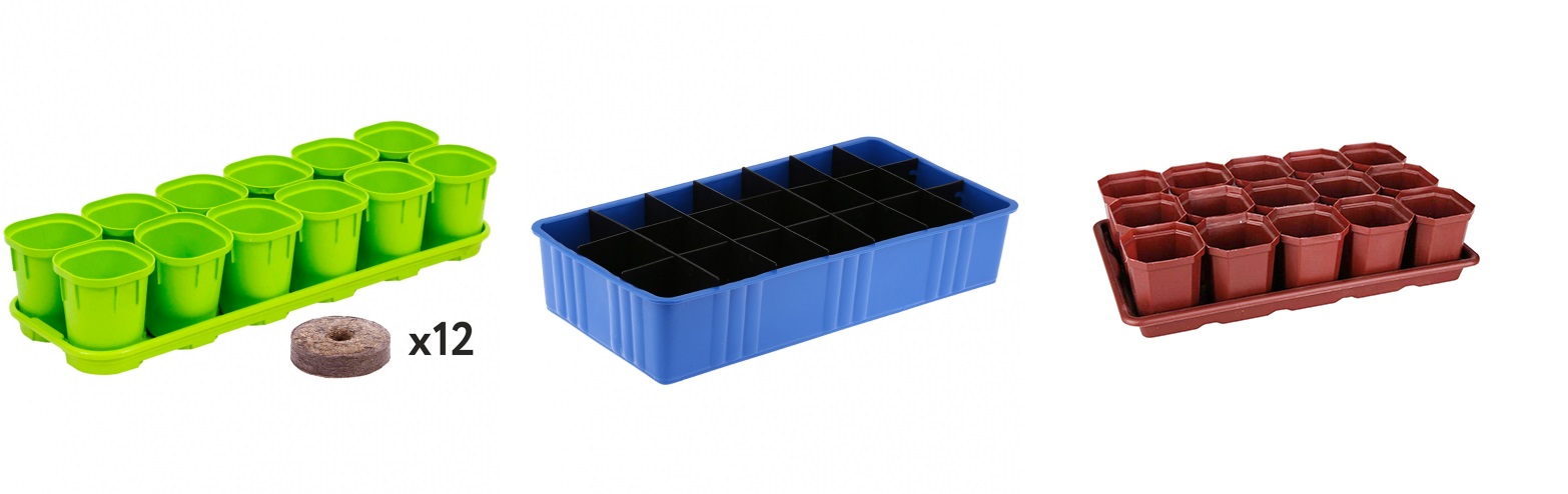 ��������� ����� ��� �������